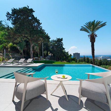 Villa Casa Palmera イキソス エクステリア 写真