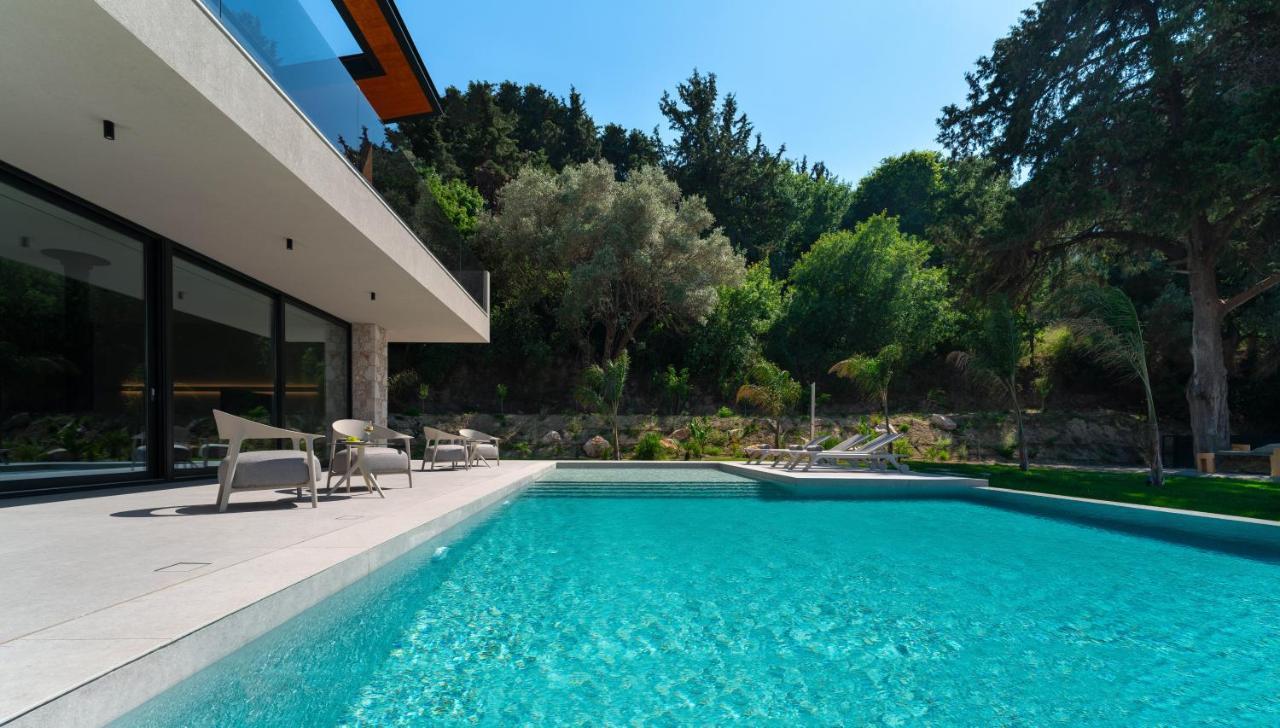 Villa Casa Palmera イキソス エクステリア 写真